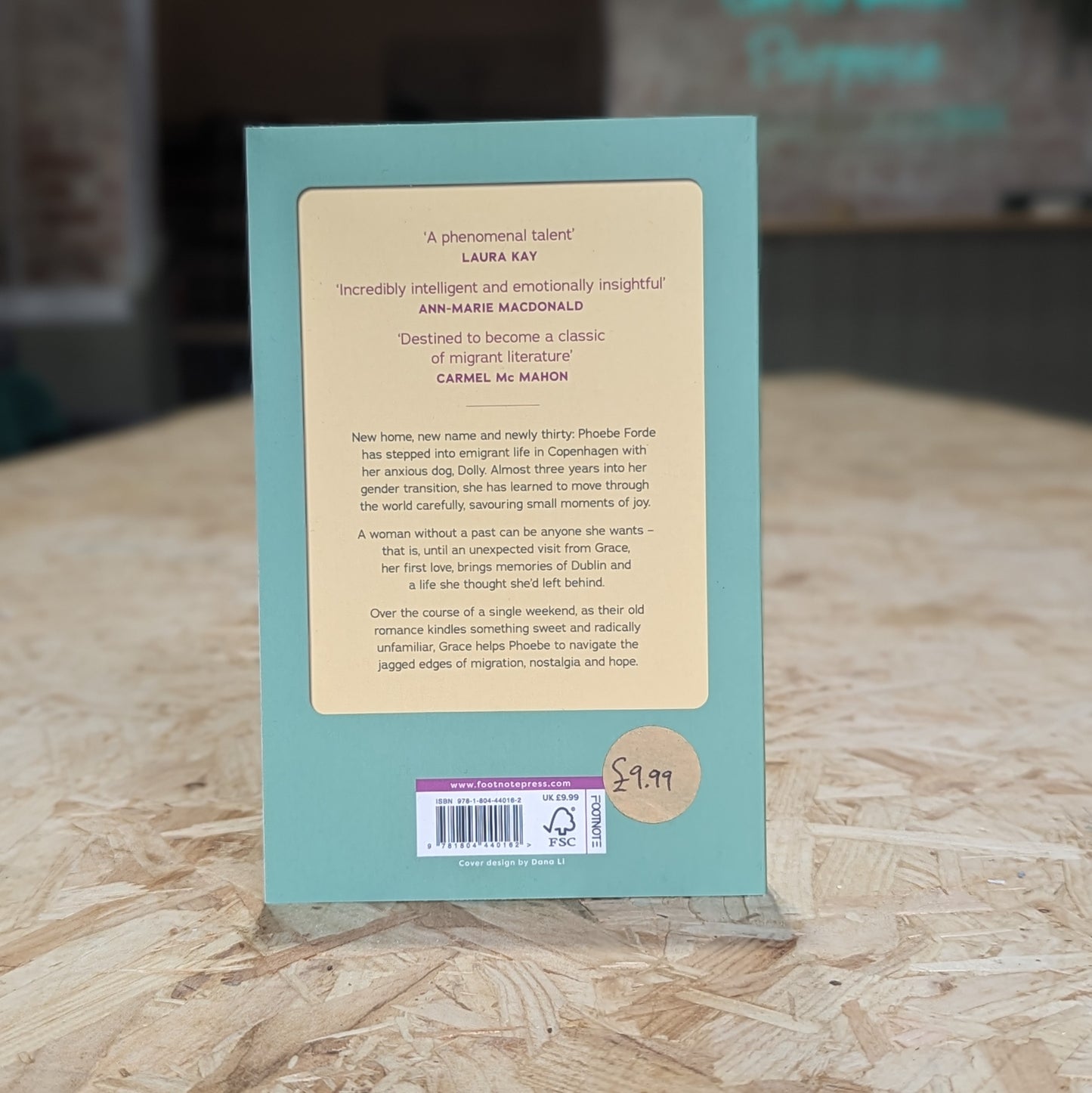 Wild Geese by Soula Emmanuel