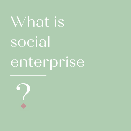 What is social enterprise?