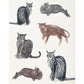 A5 Prints by Lauren Kelso