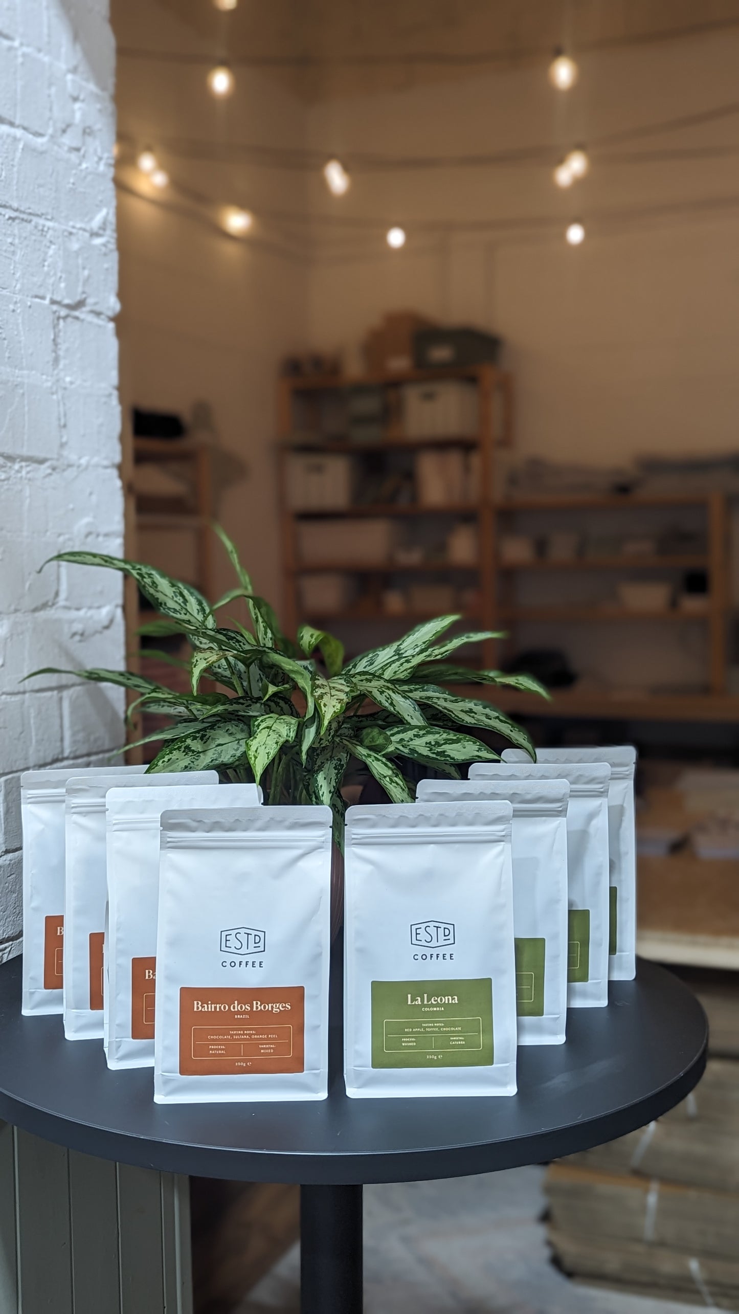 Established Coffee - Wholebean