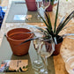 Paint, Plant, Pour | Fri 31st July | Belfast