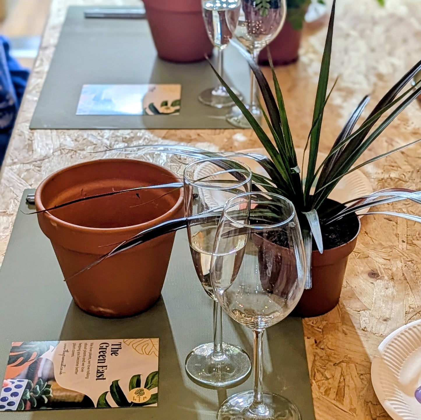 Paint, Plant, Pour | Fri 31st July | Belfast