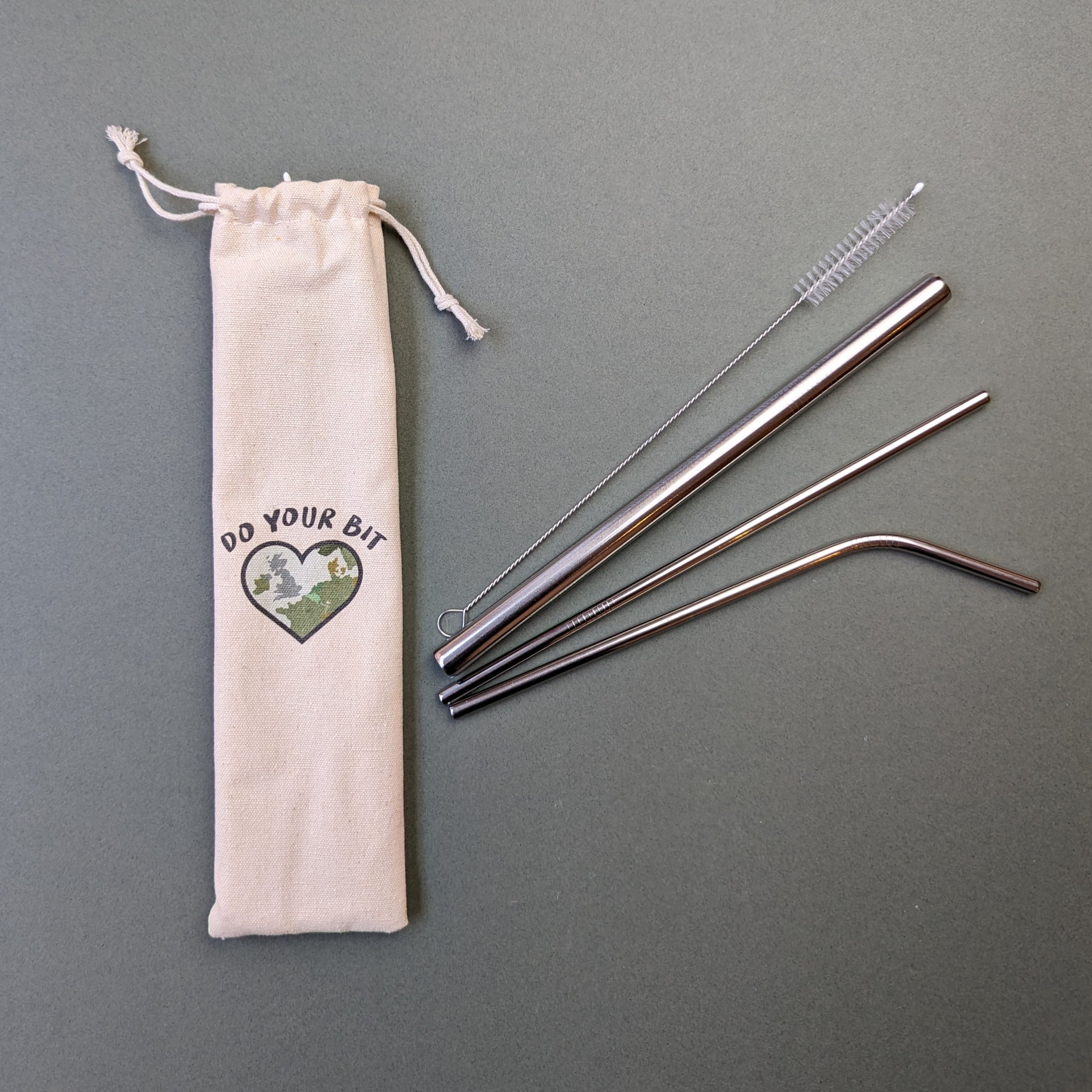 do your bit stainless steel straw set
