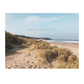 Lavender Line Photography 6x4.5 Print